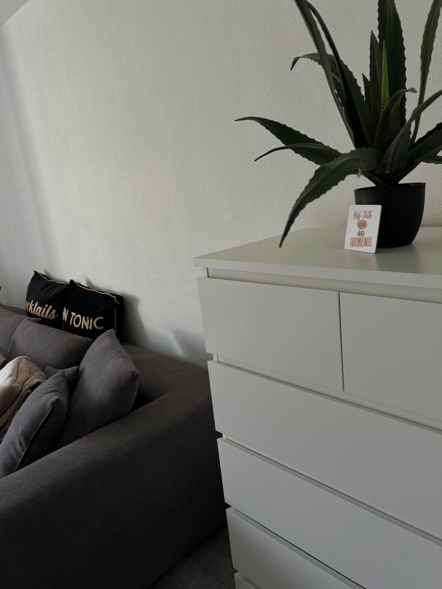 Apartment Zur Wildkatze *